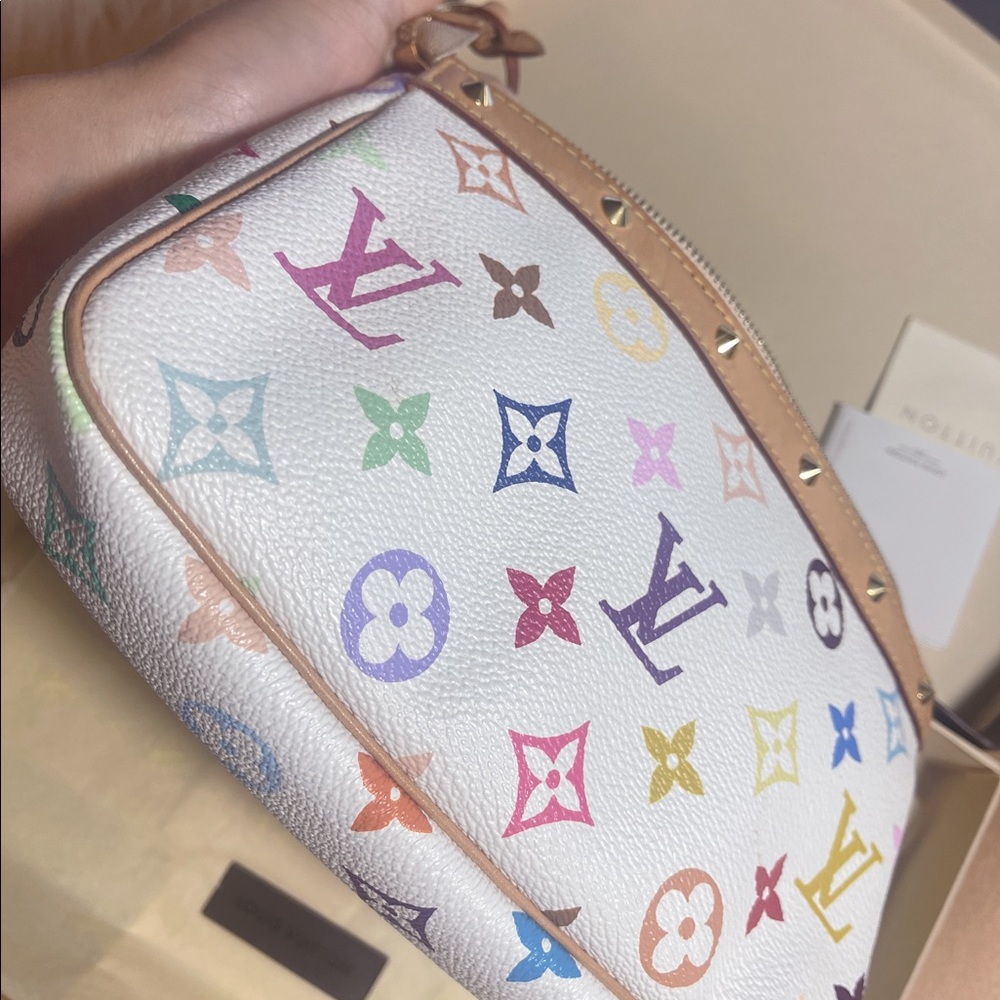 Louis Vuitton Pochette Accessoires Multicolor